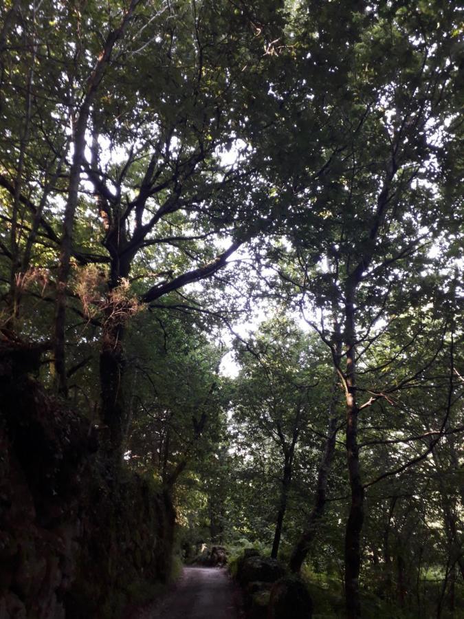 Quinta Da Casa Matilde - Nature House Geres Zewnętrze zdjęcie